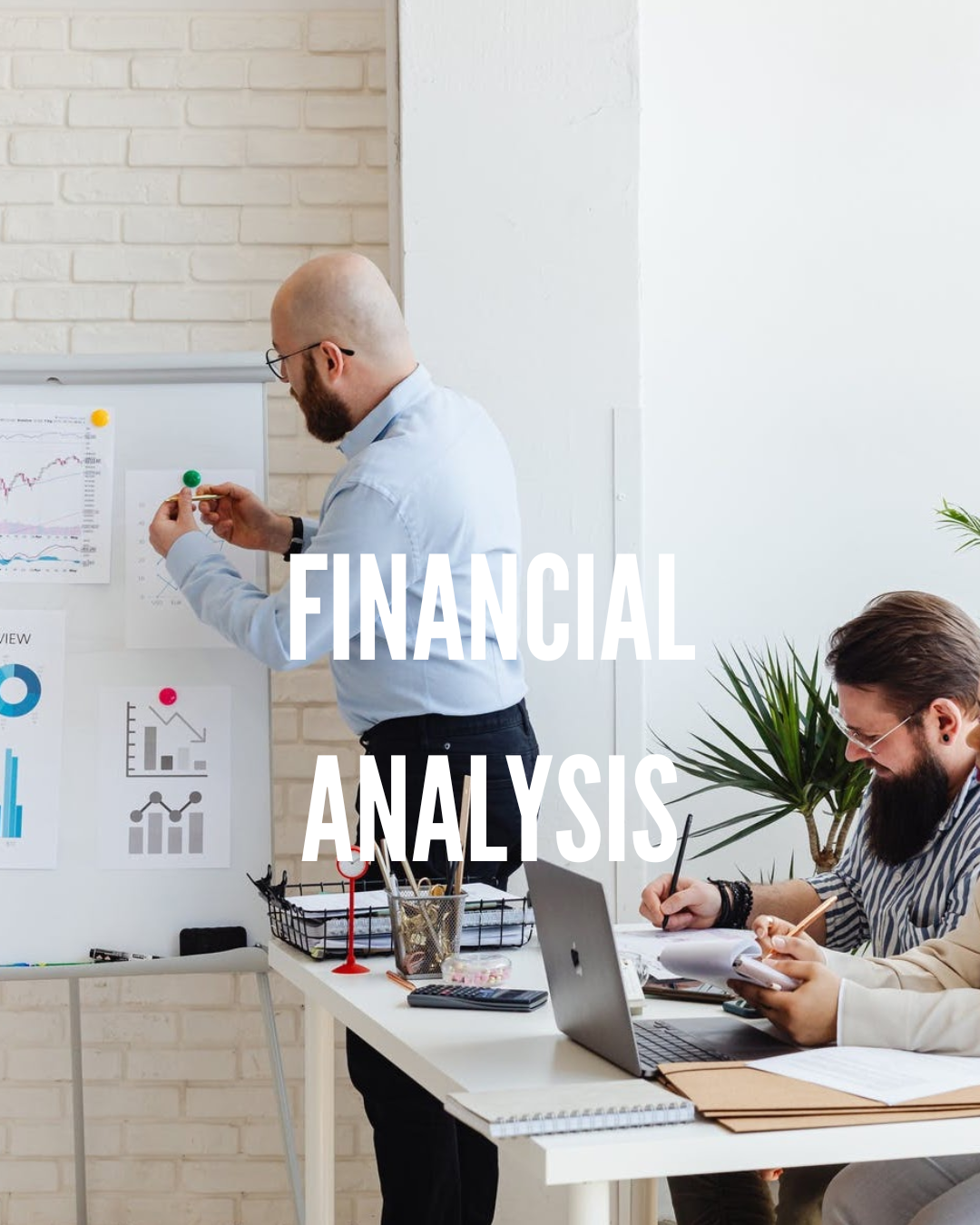 Financial Analysis